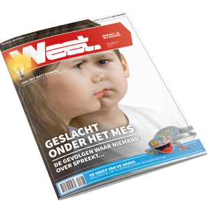 Weet 84