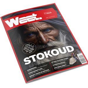 Weet 85