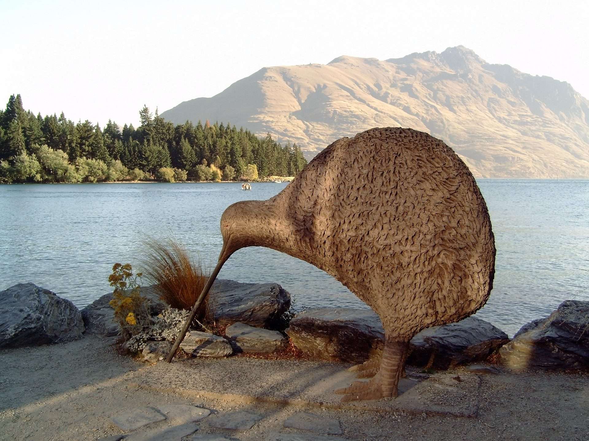 Het raadsel van de kiwi
